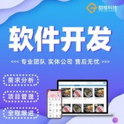 软件开发定制桌面程序APPJavaC#PHP代做微信